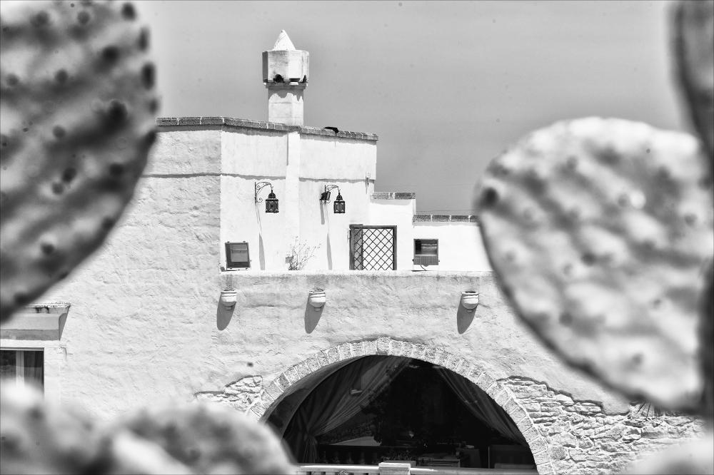 La fotografia è parte di una più ampia raccolta di fotografie realizzate per il progetto di censimento di 248 masserie pugliesi avviato da Giancarlo Chielli, professore del corso in Beni Culturali e Ambientali presso l'Accademia di Belle Arti di Bari. Il lavoro svolto ha dato vita al volume “Le masserie di Puglia come Bene Culturale” in cui sono presenti alcuni scatti di masserie pugliesi tra cui quella in oggetto. La scelta stilistica del bianco e nero di queste immagini esalta la bellezza del particolare architettonico della masseria, ripreso tra piante di cactus, poste sul terrazzo secondo il nuovo allestimento scelto dalla famiglia Sanseverino, gli attuali proprietari. L'immagine infatti evidenzia la struttura attuale interamente sottoposta a ristrutturazione e oggi...