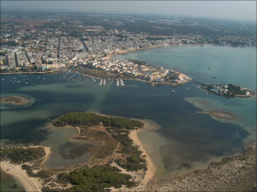 Il litorale jonico del Tavoliere Salentino, nella zona di Porto Cesareo - sito della Riserva Naturale Orientata Regionale “Palude del Conte e duna costiera di Porto Cesareo” - presenta una costa omogenea, caratterizzata da una morfologia bassa, sabbiosa o in roccia tenera con contenute falesie, con un habitat di inestimabile valore botanico e paesaggistico soprattutto il sistema dunare che borda per alcuni chilometri il litorale nord-occidentale, dove la duna conserva ancora un'imponente formazione di ginepri.  Oltre che dal tipico sistema spiaggia/duna a macchia/area umida alimentata da risorgive, questa zona è caratterizzata dalla presenza di isolotti a breve distanza dalla costa, che chiudono parzialmente bacini e spiagge interne. La più nota è l'isola dei Conigli (o...