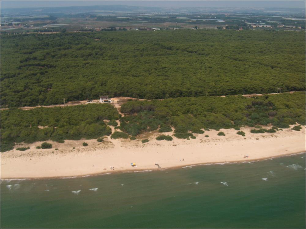 Il comune di Castellaneta, rientra nell'ambito paesaggistico della Costiera Jonica, si presenta come una vasta piana a forma di arco che si affaccia sul versante jonico del territorio pugliese e che si estende quasi interamente fra la provincia di Taranto, la Murgia a nord ed il Salento nord-occidentale a est. Sempre in questo ambito sono ricomprese alcune propaggini delle alture murgiane, localmente denominate Murge tarantine, a cui succedeno una successione di superfici pianeggianti, variamente estese e digradanti verso il mare, raccordate da gradini con dislivelli diversi e paralleli alla linea di costa. Le aree prettamente costiere sono invece ricche di cordoni dunari, poste in serie parallele dalle più recenti in prossimità del mare alle più antiche verso l'entrote...