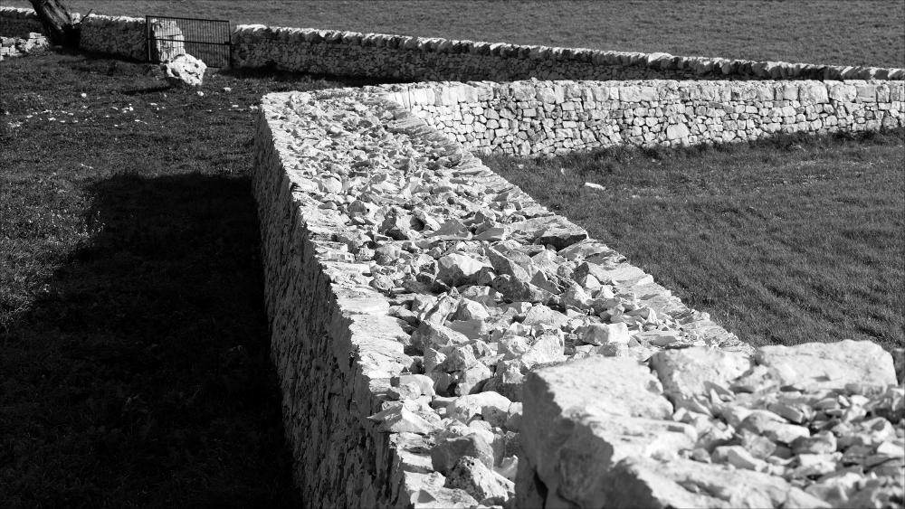 L'istantanea in oggetto, scattata in bianco e nero e successivamente post prodotta, fa parte di una più ampia raccolta di fotografie realizzate per il progetto di censimento di 248 masserie pugliesi avviato da Giancarlo Chielli, professore del corso in Beni Culturali e Ambientali presso l'Accademia di Belle Arti di Bari. Il lavoro svolto ha dato vita al volume “Le masserie di Puglia come Bene Culturale” in cui sono presenti alcuni scatti di masserie pugliesi tra cui questa presa in esame. La fotografia scattata negli spazi esterni della masseria Le Monache ci restituisce un dettaglio del muretto a secco costruito per delimitare lo spazio dell'aia e proteggere questa da eventuali attacchi di animali selvatici. Il complesso si compone di due nuclei di fabbrica, a moduli r...