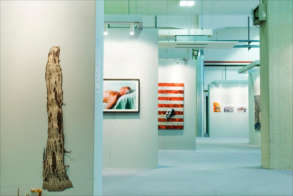 L'immagine digitale documenta un momento della "Biennale dei Giovani Artisti dell'Europa e del Mediterraneo" che, nella sua XIII edizione, fu ospitata in Puglia, a Bari, dal 22 al 31 maggio 2008 negli spazi della Fiera del Levante. La Biennale è considerata la più importante vetrina in Europa e nel Mediterraneo per la creatività delle giovani generazioni. Voluta da Regione Puglia e dall'Associazione Internazionale BJCEM e realizzata dal Teatro Pubblico Pugliese, la Biennale ha dato così spazio ad una visione multidisciplinare, multiforme e internazionalizzata dell'arte contemporanea attraverso creazioni di musica, arti visive, teatro, video, arti applicate, letteratura e gastronomia. Scattata a luce ambiente in uno degli spazi della Fiera, la fotografia rende parte dell...