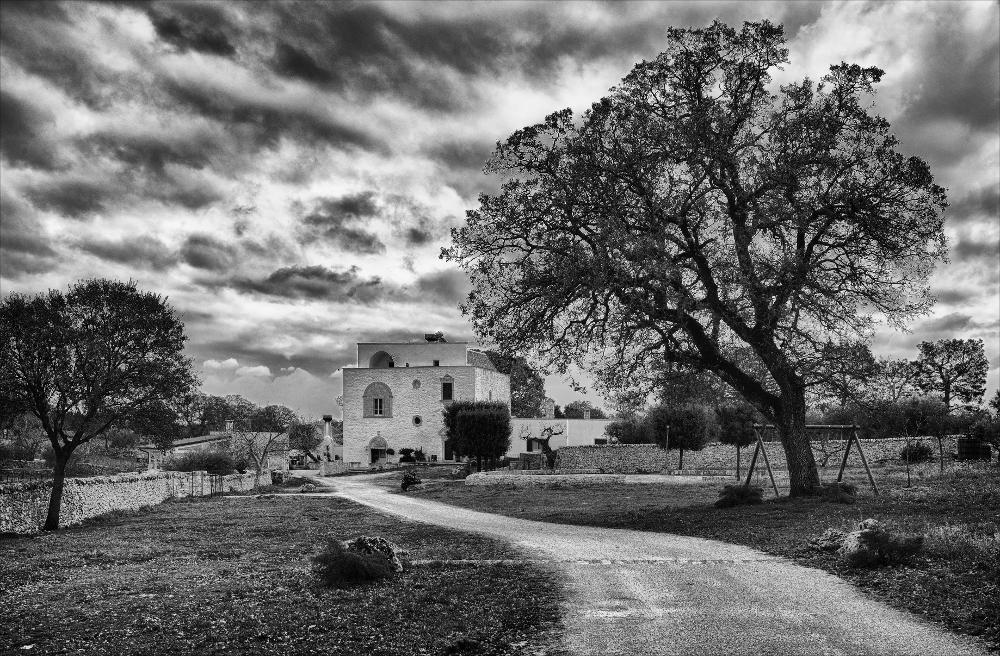 L'istantanea in oggetto, scattata in bianco e nero, fa parte di una più ampia raccolta di fotografie realizzate per il progetto di censimento di 248 masserie pugliesi avviato da Giancarlo Chielli, professore del corso in Beni Culturali e Ambientali presso l'Accademia di Belle Arti di Bari. Il lavoro svolto ha dato vita al volume “Le masserie di Puglia come Bene Culturale” in cui sono presenti alcuni scatti di masserie pugliesi tra cui questa presa in esame. Lo scatto ci conduce all'interno della masseria Aprile e ci regala la visione d'insieme che si ha una volta varcato il cancello d'ingresso. L'immagine dunque si compone di diversi elementi caratterizzanti come il muretto a secco sulla sinistra che un tempo delimitava gli spazi abitati da quelli coltivati, l'aia sulla...