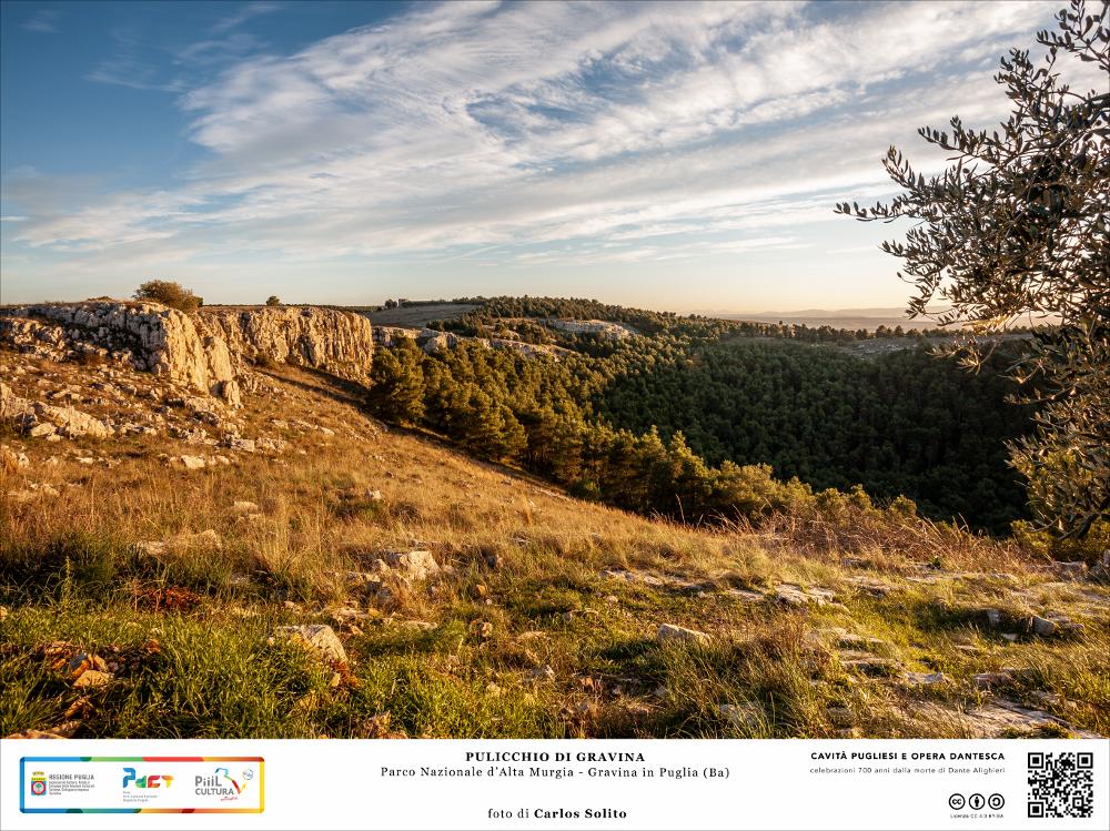 Il Pulicchio di Gravina, situato nel Parco dell’Alta Murgia in Puglia, nell’agro di Gravina, è una dolina carsica, ossia un’enorme cavità a forma di “imbuto” sul cui fondo è cresciuta rigogliosa una vegetazione fatta di pini risalenti agli anni ’50. In foto è ben visibile la forma ovoidale della dolina che ebbe origine, presumibilmente, dal crollo di un sistema di grotte scavate dall’acqua nella roccia calcarea.
L’immagine digitale fa parte della raccolta di fotografie prodotte da Carlos Solito per il Progetto digitale “Sillabario sotterraneo – Viaggio dantesco nelle Grotte di Puglia” – realizzato nell’ambito della LEGGE REGIONALE 30 dicembre 2020 - art. 39 “Cavità pugliesi e opera dantesca - Celebrazioni 700 anni dalla morte di Dante Alighieri”.