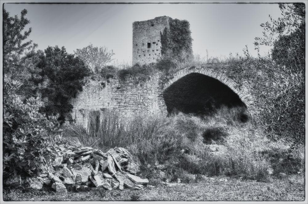 La fotografia è parte di una più ampia raccolta di fotografie realizzate per il progetto di censimento di 248 masserie pugliesi avviato da Giancarlo Chielli, professore del corso in Beni Culturali e Ambientali presso l'Accademia di Belle Arti di Bari. Il lavoro svolto ha dato vita al volume “Le masserie di Puglia come Bene Culturale” in cui sono presenti alcuni scatti di masserie pugliesi tra cui quella in oggetto. L'immagine digitale è una ampia veduta di Masseria Torre Villotta, nell'agro di Molfetta, nella quale spicca la torre a due piani, il primo nucleo architettonico originario del XII secolo. Notevole è il modello costruttivo ben visibile ancora oggi, formato da conci di pietra calcarea squadrati e sbozzati con molta cura. La torre alta circa 10 metri a pianta q...