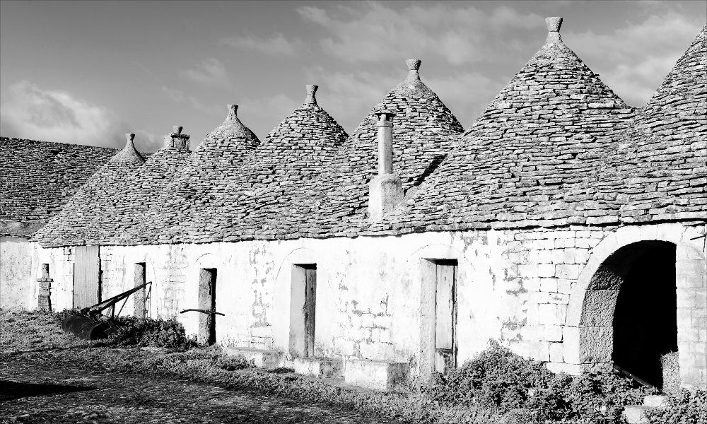 L'istantanea in oggetto, scattata in bianco e nero e successivamente post prodotta, fa parte di una più ampia raccolta di fotografie realizzate per il progetto di censimento di 248 masserie pugliesi avviato da Giancarlo Chielli, professore del corso in Beni Culturali e Ambientali presso l'Accademia di Belle Arti di Bari. Il lavoro svolto ha dato vita al volume “Le masserie di Puglia come Bene Culturale” in cui sono presenti alcuni scatti di masserie pugliesi tra cui questa presa in esame. L'immagine mostra il corpo a trulli allineati della masseria Le Monache, costituito da ambienti destinati in passato a stalle, pagliai e ricovero per i pastori. Oltre a questi spazi la masseria si compone di due nuclei di fabbrica, a moduli rettangolari con copertura a pignon, destinat...
