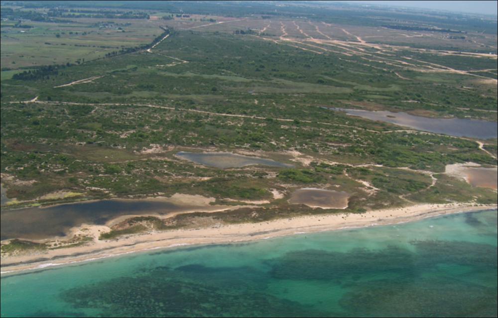 Il paesaggio costiero adriatico del Tavoliere Salentino, è caratterizzato da un andamento poco accidentato e piuttosto lineare, con una morfologia bassa e sabbiosa oppure in roccia tenera con tratti a falesia. Un bene patrimoniale di notevole valore ecologico è rappresentato dal tipico sistema costiero salentino formato in sequenza da spiaggia, cordone dunare ricoperto da macchia o pineta e aree umide retrodunali - di cui oggi rimangono solo frammenti - che rappresenta l'unico sistema realmente efficace contro l'erosione costiera naturale. Nella zona di Torre Veneri, lungo i sentieri sterrati che costeggiano i vari pantani, dove staziona e nidifica la fauna avicola di transito come i fenicotteri rosa, domina il paesaggio della macchia mediterranea, ricco di specie e di ...