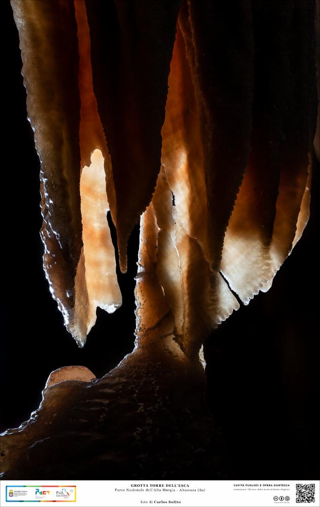 Lo scatto ritrae una stalattite che si incontra con una stalagmite dopo decine di anni di crescita. La visione in controluce mette in evidenza la purezza delle concrezioni e la loro straordinaria forma affusolata che ricordano le fauci di un animale bestiale. 
La grotta di Torre dell' Esca, ad Altamura (BA), è uno scrigno di concrezioni scoperto nel 1938. Al suo interno si presenta ricca di formazioni calcaree variamente concrezionate, colonne stalattitiche e stalagmitiche di grandi dimensioni (diversi metri), ma anche minute concrezioni costituite da cristallizzazioni purissime.
L’immagine digitale fa parte della raccolta di fotografie prodotte da Carlos Solito per il Progetto digitale “Sillabario sotterraneo – Viaggio dantesco nelle Grotte di Puglia” – realizzato nell...