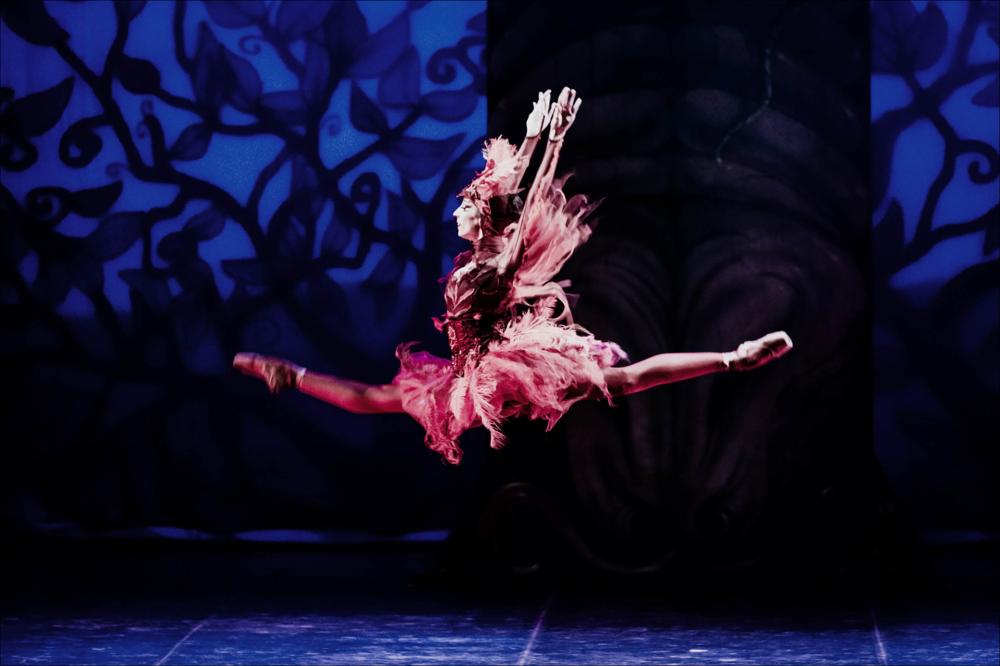 Uno scatto singolare per la ballerina della Compagnia Balletto del Sud che danza magistralmente sulle note di Stravinskij per lo spettacolo “L'uccello di Fuoco” inserito nella stagione di danza – autunno 2021 organizzata presso il Teatro Apollo a Lecce.
Nella versione coreografica di Fredy Franzutti, l’Uccello di Fuoco si ispira all’universo heroic-fantasy dei racconti di Robert Howard (1906 – 1936). Il soggetto di partenza è l’antica favola russa che narra del principe che, con l’aiuto dell’uccello mitologico dalle piume di fuoco, salva la principessa prigioniera del terribile mago Katscheij, ruolo creato da Franzutti, nel 2007, per il grande mimo inglese Lindsay Kemp. Franzutti si ispira al tratto grafico delle trasposizioni in fumetti di Frank per la ricostruzione de...