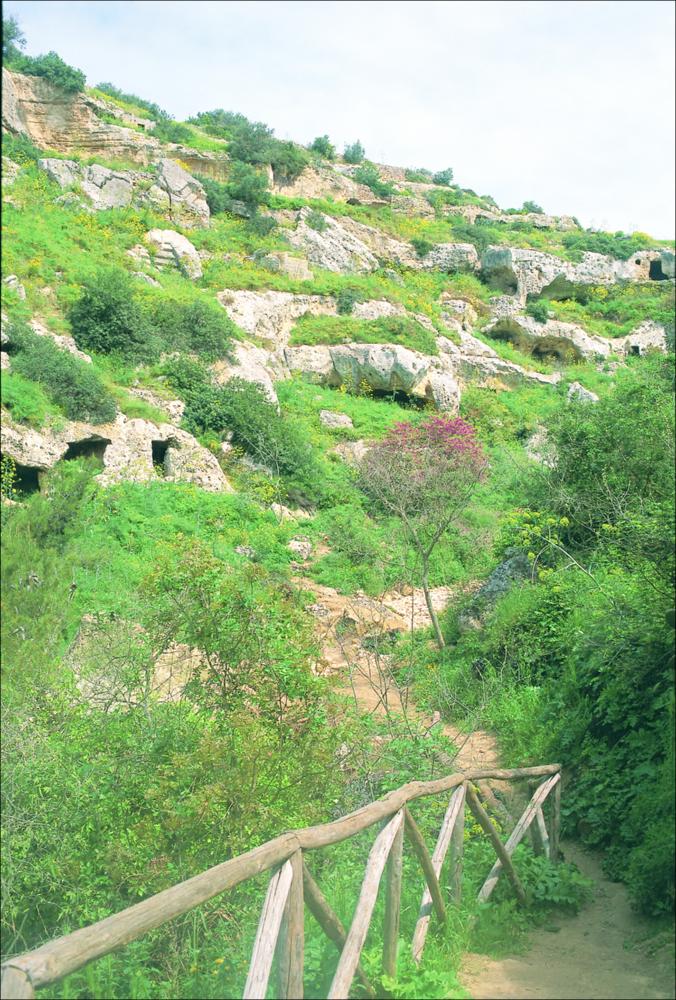 La fotografia è parte della ricca raccolta fotografica “Puglia per tutte le Stagioni” vol. 2, prodotta dall'Assessorato al Turismo e Industria Alberghiera della Regione Puglia e creata per raccontare la Puglia attraverso immagini diverse suddivise in 5 settori principali: Città e Paesi, Settimana Santa, Territorio, Feste – Sagre – Tradizioni, Mercati – Prodotti – Cucina. L'immagine immortala una delle gravine di Massafra, comune in provincia di Taranto. Le principali gravine di Massafra sono quella del "Velo", di "Santa Caterina", di "San Marco", della "Madonna della Scala", di "Monte Sant'Elia", del "Colombato", del "Portico del Ladro", di "Giulieno", di "Capo di Gavito" e del "Canale Lungo". La loro lunghezza varia da 1 a 10 km e la larghezza dai 10 ai 300 metri, con ...