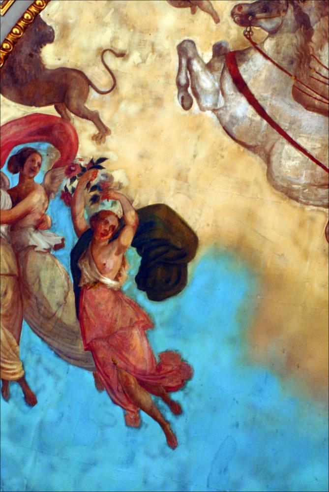 L'immagine è parte della campagna fotografica realizzata dalla fotografa Margherita Mirabella per Teatro Pubblico Pugliese, che con i suoi scatti ha ripreso le eleganti architetture e i rifiniti dettagli di alcuni dei più bei teatri pugliesi e di alcuni spettacoli teatrali portati in scena in questi ultimi anni. Lo scatto immortala un bel dettaglio dell'affresco posto sul soffitto del Teatro Curci di Barletta, opera del pittore barlettano Giambattista Calò, artista di scuola napoletana ottocentesca, che fu maestro di De Nittis e di una intera generazione di pittori. Era molto apprezzato dalla sua città, tanto che "la morte improvvisa di questo valoroso artista, di questo tipo d'insegnante e di gentiluomo, avvenuta il giorno 28 agosto (1895), fu dolore vivamente sentito ...