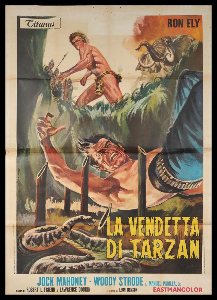 L'immagine riproduce uno dei manifesti conservati presso la Mediateca Regionale Pugliese (vedi Note). Si tratta di una delle versioni grafiche del manifesto del film "La vendetta di Tarzan", uno dei tanti della fortunata saga dedicata a Tarzan, personaggio immaginario inventato da Edgar Rice Burroughs, uomo dalla natura selvaggia, cresciuto nella jungla da una tribù di scimmie, una figura eroica e avventuriera. L'artista Franco P. firma questo e altri manifesti dedicati a Tarzan, con una composizione dall'impianto figurativo piuttosto classico, incentrata su un'unica grande scena di lotta. I colori naturali sulle sfumature dei verdi sono dominanti, insieme a quelli caldi dei corpi e dello sfondo, un accostamento tipico dell'artista, studiato per questa serie. Le pennell...