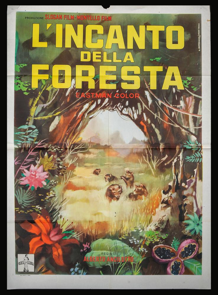 L'immagine riproduce uno dei manifesti conservati presso la Mediateca Regionale Pugliese (vedi Note). Si tratta di una delle versioni grafiche del manifesto del film-documentario “L'incanto della foresta" del 1957 per la regia di Alberto Ancillotto a firma di Biffignani (Alessandro Biffignani) per lo Studio Favalli. Dopo essersi formato negli studi di Averardo Ciriello, dei fratelli Nistri e di Augusto Favalli, cominciò a lavorare nel campo dell’illustrazione e del fumetto, principalmente come copertinista per diverse testate italiane, ma anche estere (la britannica Fleetway e la francese Lug). Si confronta con generi differenti: dal bellico al western, dall’avventuroso all’horror. Si dedicò anche alla pittura ad olio, realizzando quadri, copertine di libri, illustrazio...