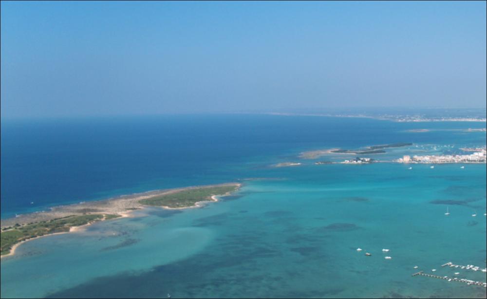 Il litorale jonico del Tavoliere Salentino, nella zona di Porto Cesareo - sito della Riserva Naturale Orientata Regionale “Palude del Conte e duna costiera di Porto Cesareo” - presenta una costa omogenea, caratterizzata da una morfologia bassa, sabbiosa o in roccia tenera con contenute falesie, con un habitat di inestimabile valore botanico e paesaggistico soprattutto il sistema dunare che borda per alcuni chilometri il litorale nord-occidentale, dove la duna conserva ancora un'imponente formazione di ginepri.  Oltre che dal tipico sistema spiaggia/duna a macchia/area umida alimentata da risorgive, questa zona è caratterizzata dalla presenza di isolotti a breve distanza dalla costa, che chiudono parzialmente bacini e spiagge interne. La più nota è l'isola dei Conigli (o...