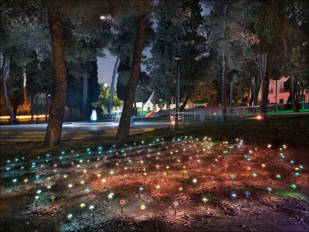 Lo scatto fotografico riprende l’installazione luminosa “Magic Garden” dell’artista croato Marko Bolkovic, collocata presso Villa Donnaloja di Alberobello. In quest’opera la bellezza della natura e la tecnologia del suono e della luce si sono unite per dar vita ad un giardino magico fatto di piante e funghetti luminosi che si animavano attivati da appositi sensori di controllo.
L’installazione è stata realizzata nell’ambito della seconda edizione del Life - Alberobello Light Festival 2017 che ha illuminato il centro cittadino e alcuni dei suoi luoghi più caratteristici dal 30 settembre all’8 ottobre.
Il Festival è organizzato da Lightcones e Agit - Associazione Giovani Imprenditori del Turismo, responsabili rispettivamente della direzione artistica e della direzione org...