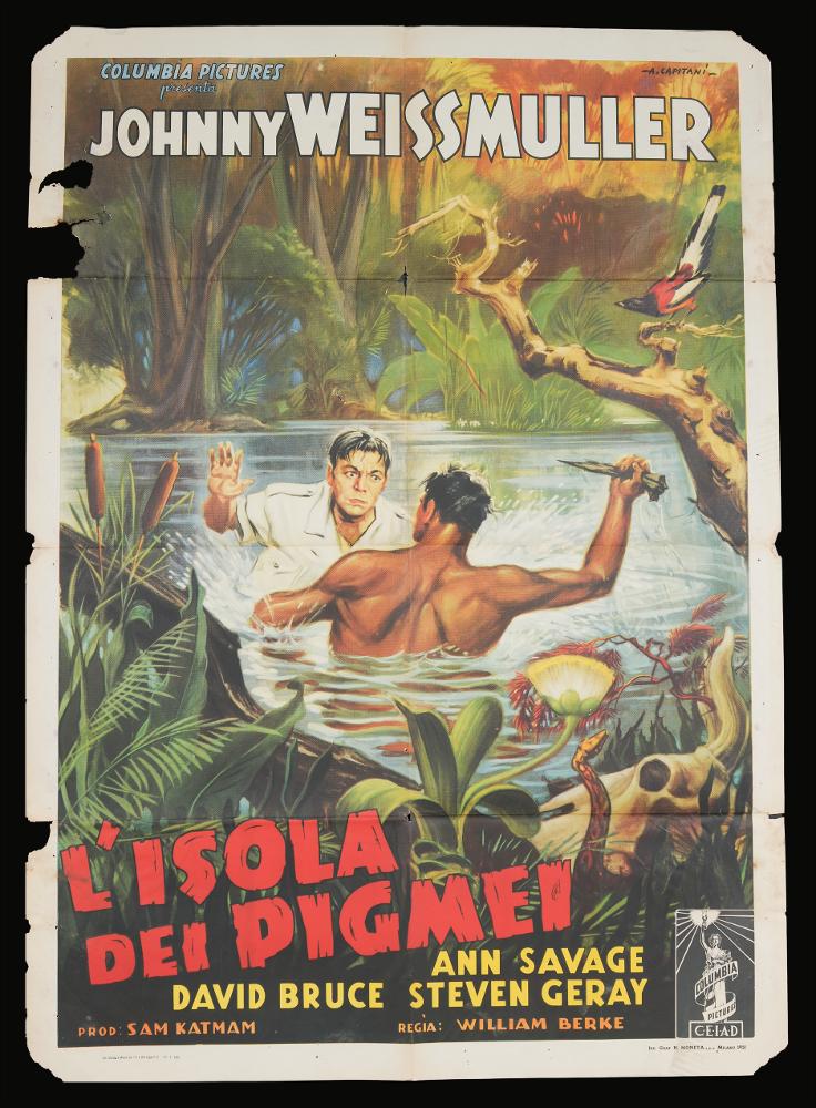 L'immagine riproduce uno dei manifesti conservati presso la Mediateca Regionale Pugliese (vedi Note). Si tratta di uno dei manifesti del film “L’sola dei pigmei” del 1950 per la regia di William A. Berke a firma dell’illustratore Alfredo Capitani. Pittore di cinema del primo periodo, Capitani fondò uno studio nel 1919 per la realizzazione di manifesti pubblicitari e poi con Luigi Martinati una società per il lancio di pellicole cinematografiche. Il suo stile richiama quello di Ballester, con un uso di colori luminosi, qui soprattutto viene utilizzato il verde, e sfumati con effetti di mirabile enfasi pittorica. Anche per questa composizione gli elementi descrittivi sono molteplici, come ricchi sono i dettagli degli inserimenti a corredo come alberi, fiori, piante e anim...