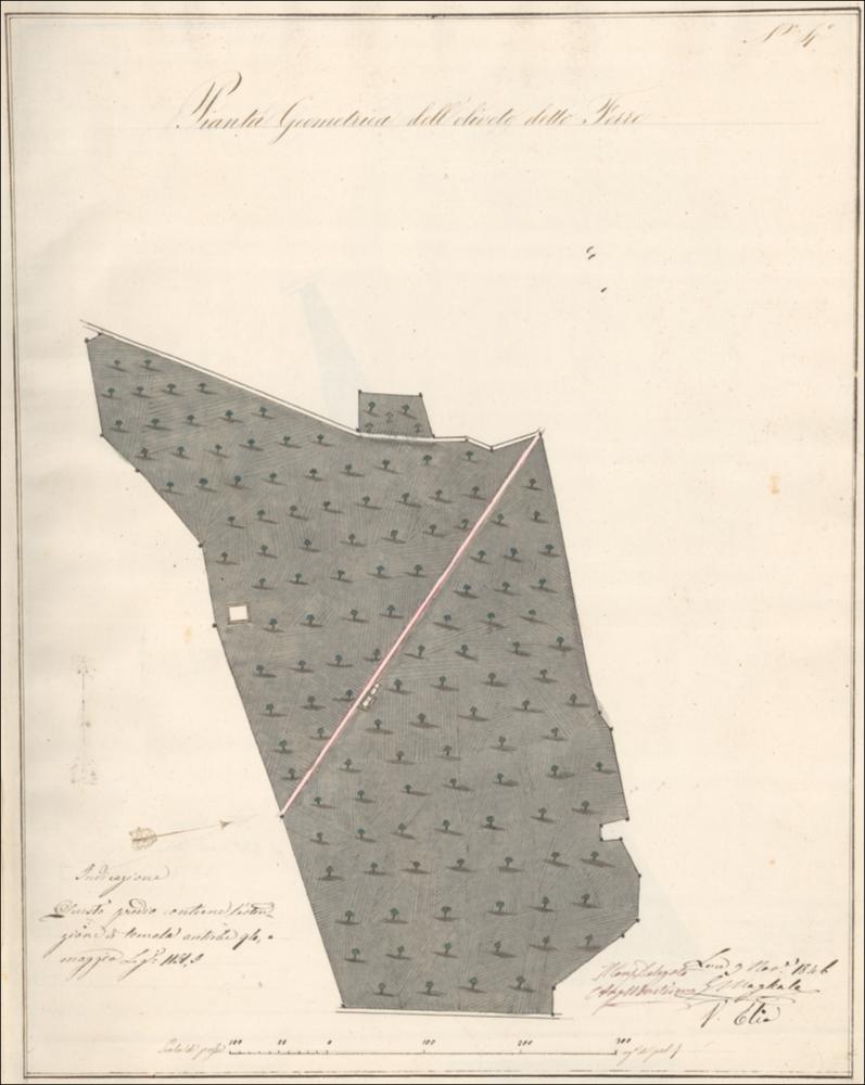 Trattasi di disegno a colori su carta datato Lecce 9 novembre 1846 redatto dai periti Giuseppe Magliala e Vincenzo Elia. La pianta del fondo detto terre Macchiose, domina la composizione, incorniciata in alto al centro dal titolo, mentre in basso a sinistra dall'orientamento e un'annotazione, al centro dalla scala grafica, a destra dalle note d'autore. La simbologia è ridotta al minimo, con il fondo suddiviso in due particelle da una strada i cui bordi sono acquerellati di rosso. La rappresentazione degli elementi naturali del territorio, avviene attraverso l'utilizzo di una ingenua simbologia grafica, in cui agli alberelli di color verde attraverso una sfumatura cromatica leggermente più intensa si dona l'ombra propria mentre in grigio l'ombra portata. Alla base gli al...