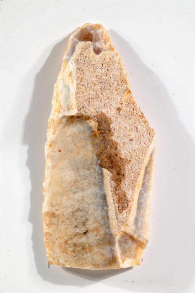 <div class="ql-editor"><div>Proveniente dalla Grotta delle Veneri, questa punta è realizzata in selce e presenta una forma diritta e appuntita. È stata ottenuta lavorando una lama ricavata da una lista di selce e conserva ancora una piccola parte della superficie esterna della roccia, detta cortice. Il tallone, cioè la parte iniziale della lama, è fratturato. La punta è stata modellata attraverso una serie di scheggiature sui due margini, che le hanno dato la forma appuntita necessaria per l’uso. Utilizzata dai cacciatori-raccoglitori che frequentarono la grotta durante il Paleolitico superiore medio, veniva probabilmente fissata all’estremità di un’asta di legno. In questo modo costituiva la punta di un’arma da lanc...